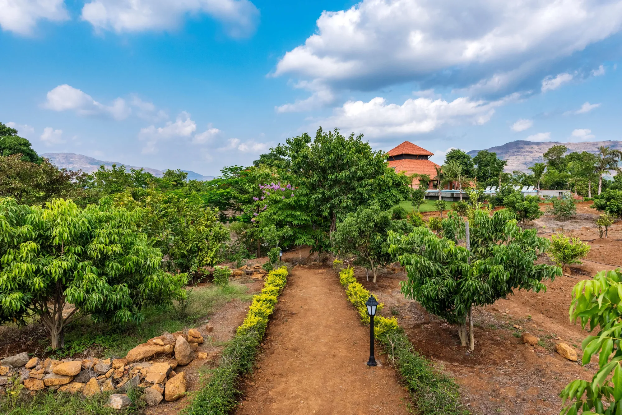 The Nakshatra garden at Satori — planted to the twenty-seven lunar constellations