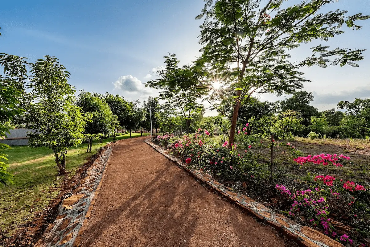 Estate path through the trees at Satori